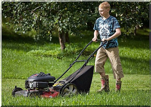 teenage boy mowing the lawn