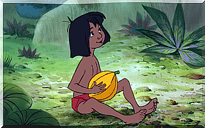 The Jungle Book is a film that conveys the value of respect for nature.