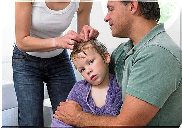 7 tips to prevent your child from getting lice