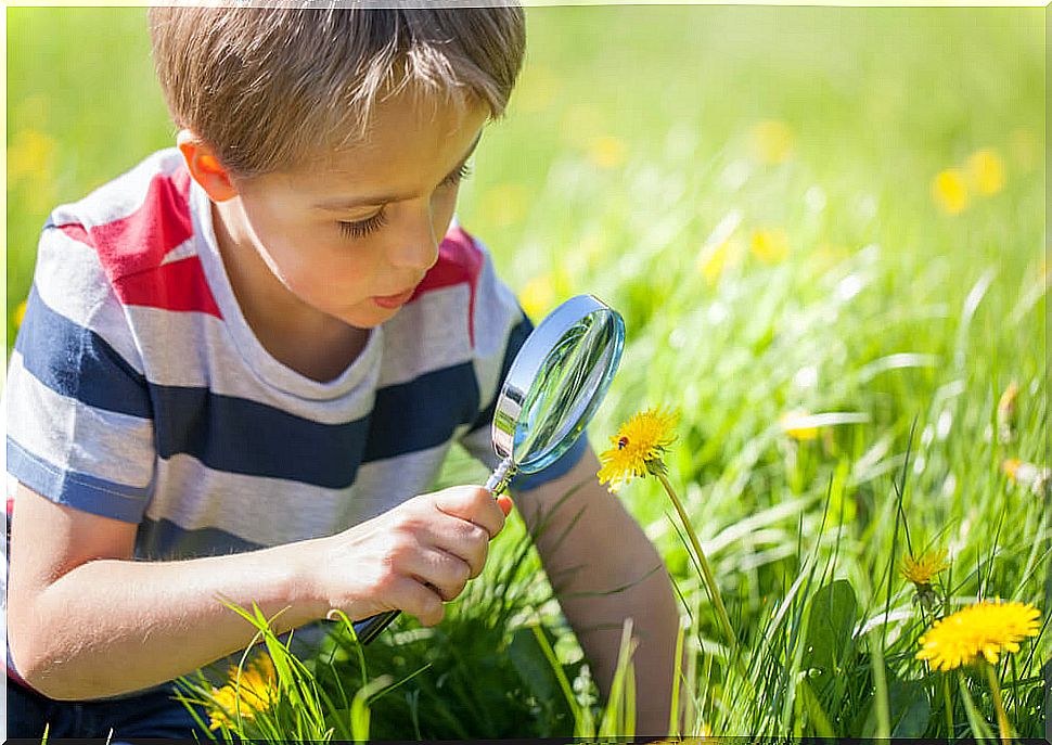 PBL: a pedagogy in which the student is the protagonist of their learning.