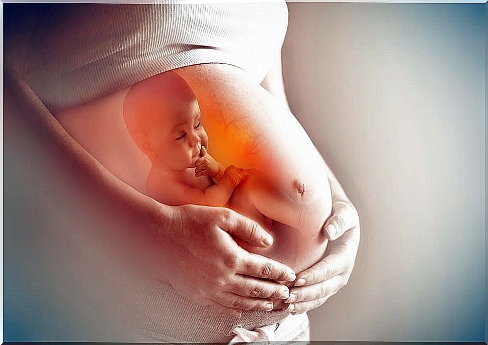 Baby inside the womb in the amniotic fluid.