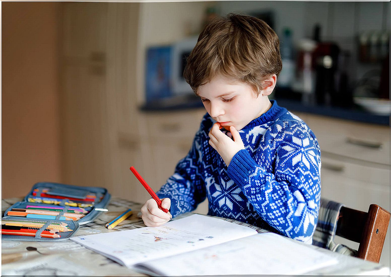 Boy doing homework at home during his study hours.