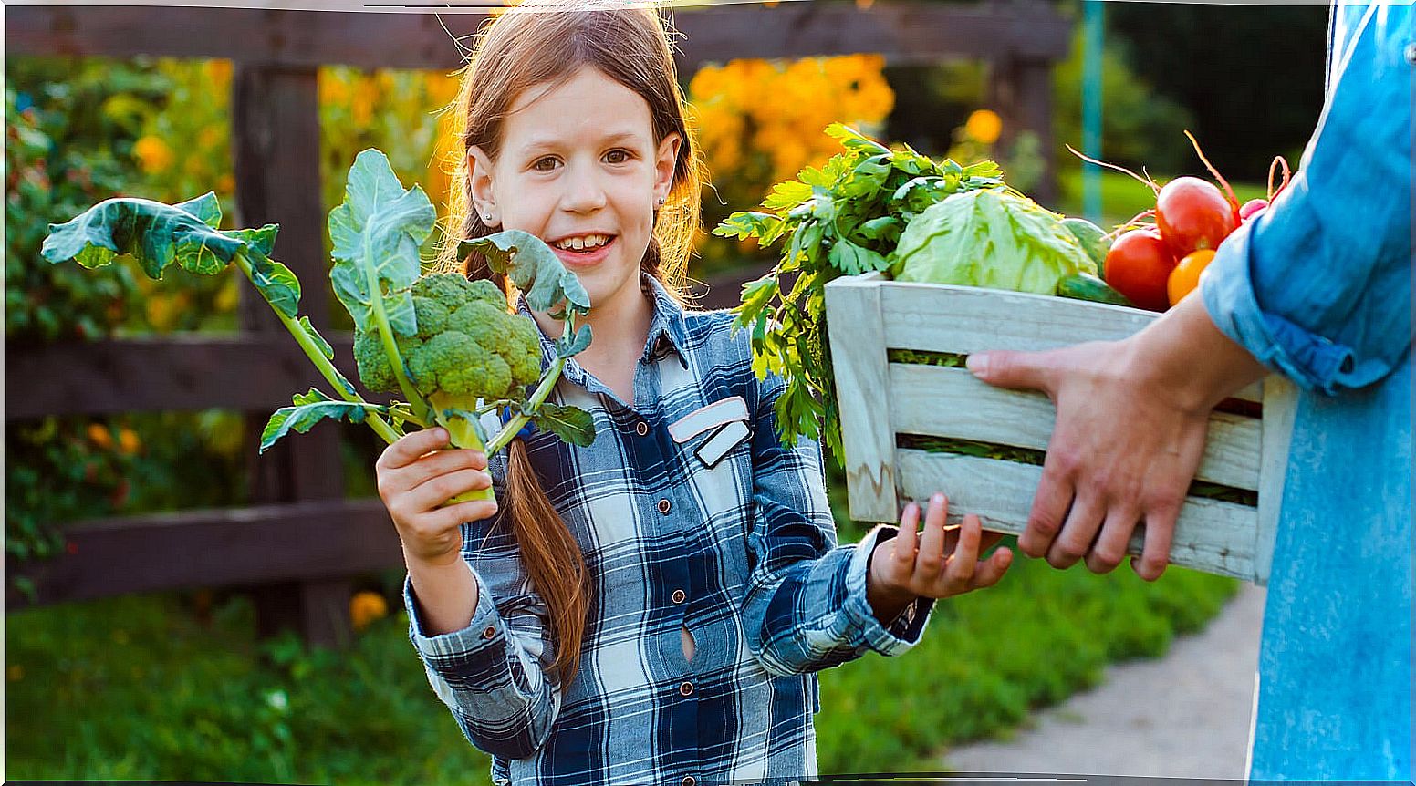 How to make a home garden