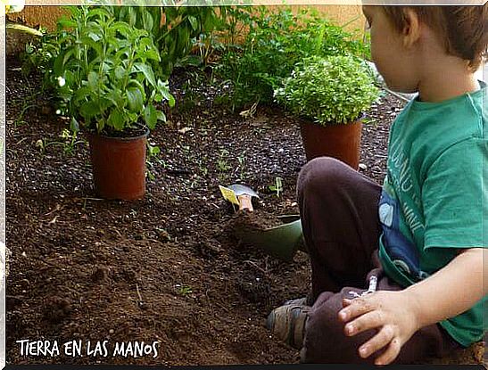 Preschool Farming: Teach Kids to Grow Their Food