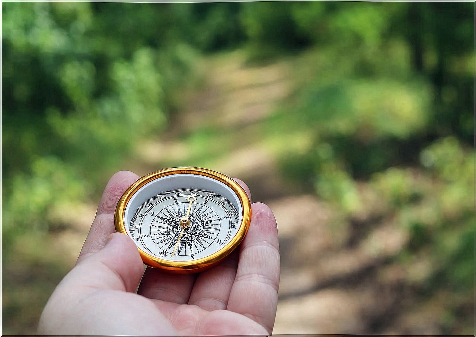 How to make a homemade compass for children