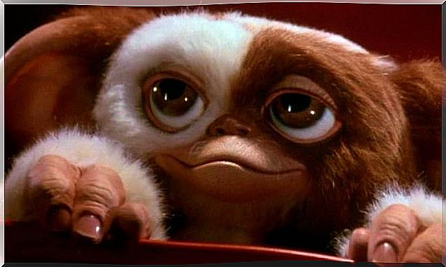 Protagonist of the movie Gremlins.