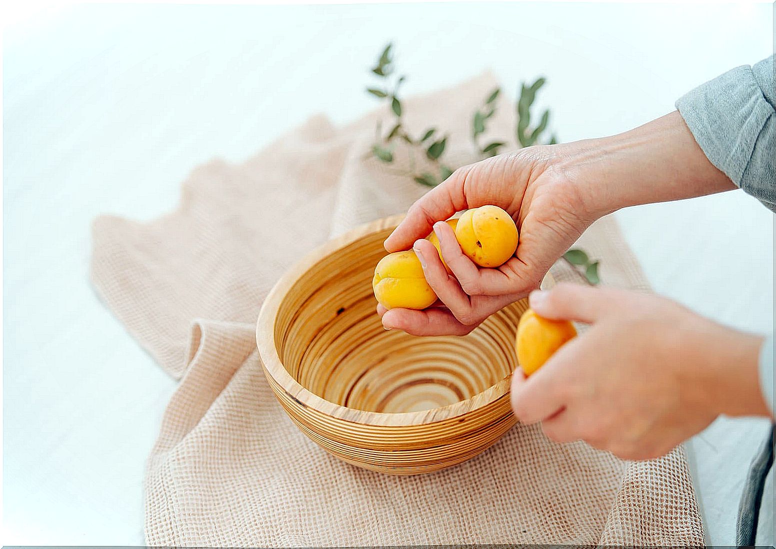 Bowl with apricots to make soups and cold creams.