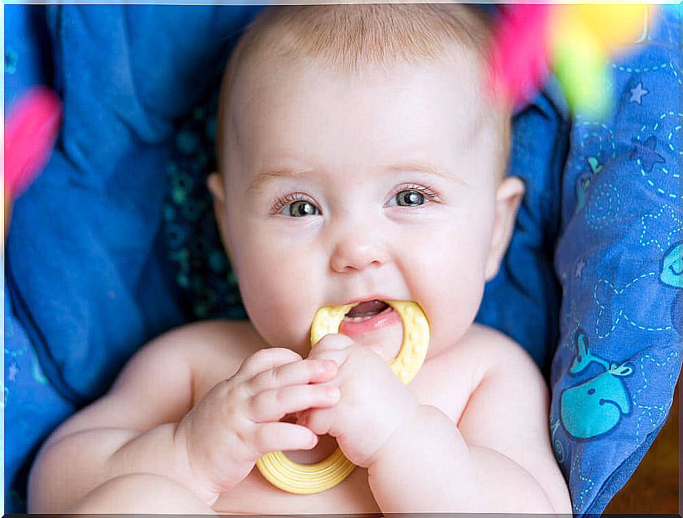 Baby with teether for the formation of teeth.