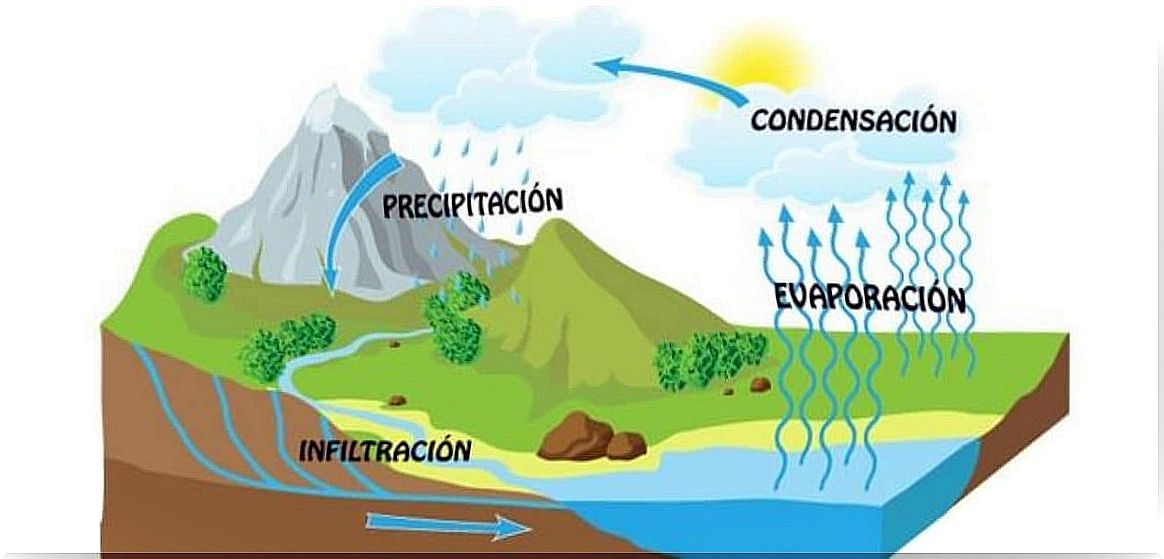 Water cycle for children.