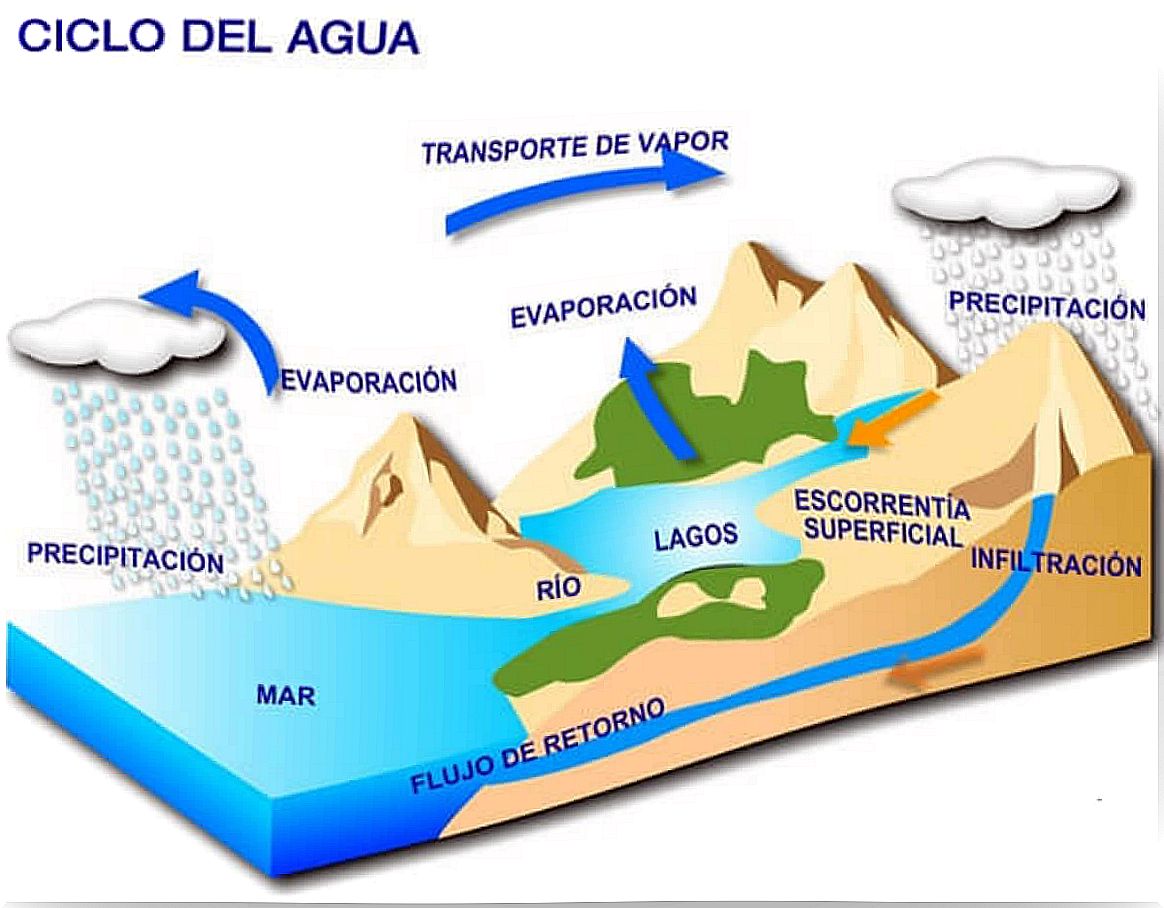 Water cycle.