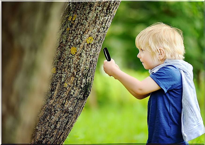 Field trips with children provide opportunities for them to explore and have fun.