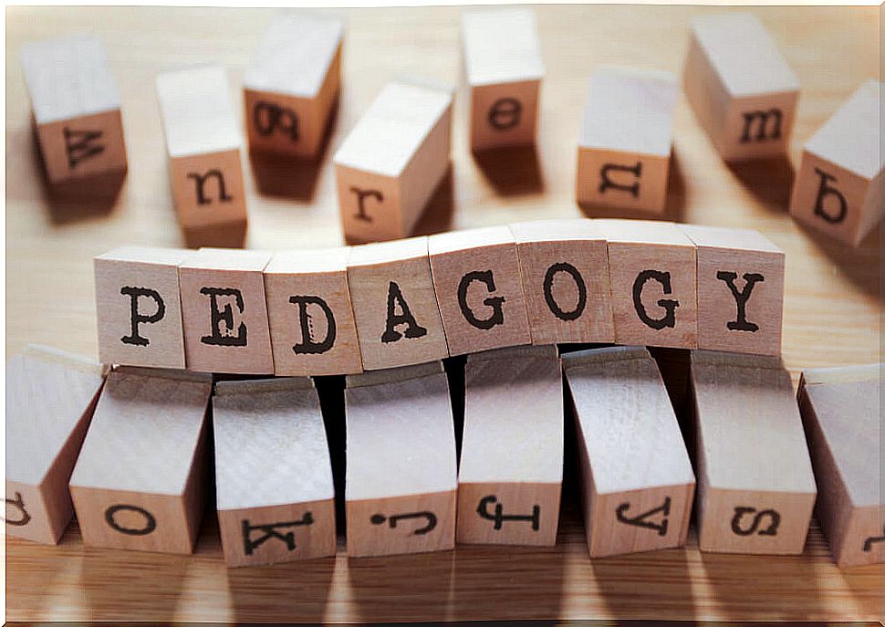 What is the pedagogy of otherness?